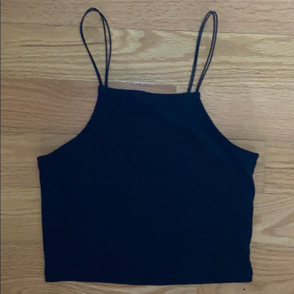 Wild Fable top